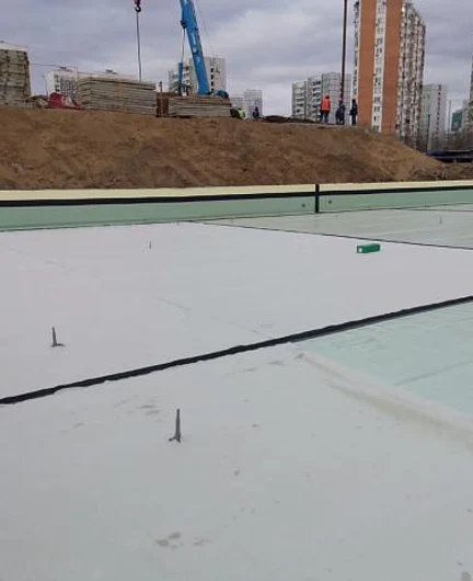 278520f0-36c9-449a-bd7a-b43ef8983c4c-мембрана15.jpg